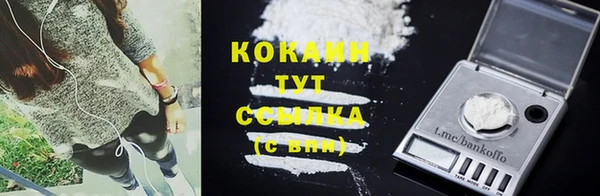 ешки Алексин