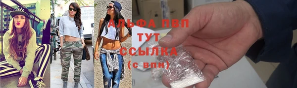 шишки Анжеро-Судженск