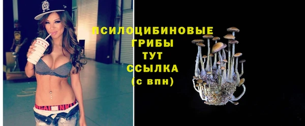 кокс Алексеевка