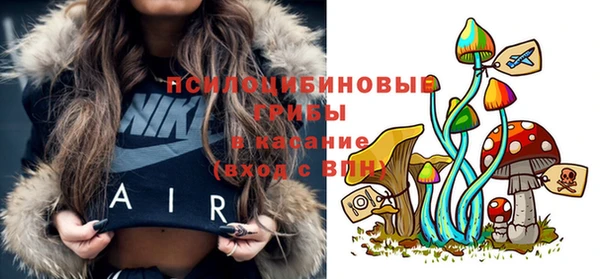 кокс Алексеевка