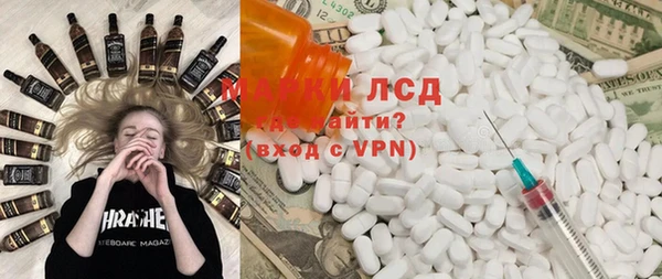 стафф Алзамай