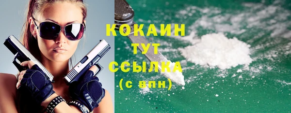 стафф Алзамай