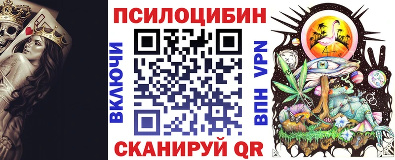 Псилоцибиновые грибы Psilocybe  сколько стоит  Артёмовск 